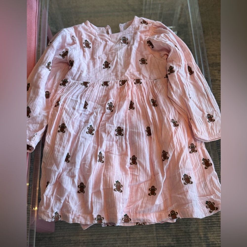 NEW Pink Chicken Bea Gingerbread Dress